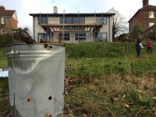 20150201 Kids in the garden