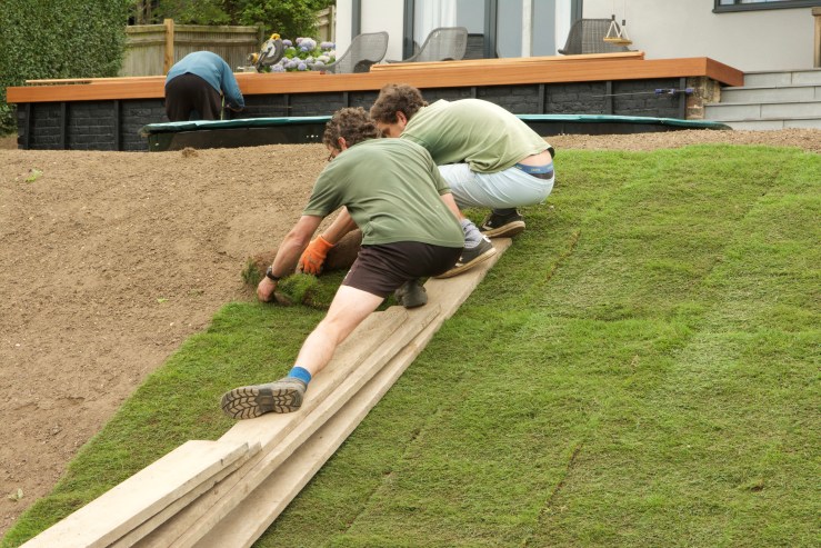 20160801 Turfed slope